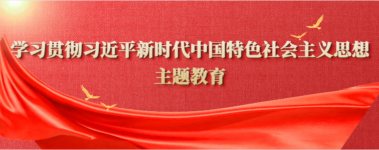 学习贯彻习近平新时代中国特色社会主义思想主题教育